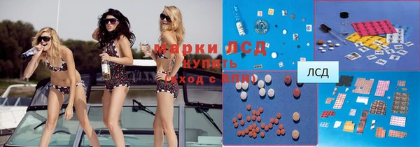 индика Алексеевка
