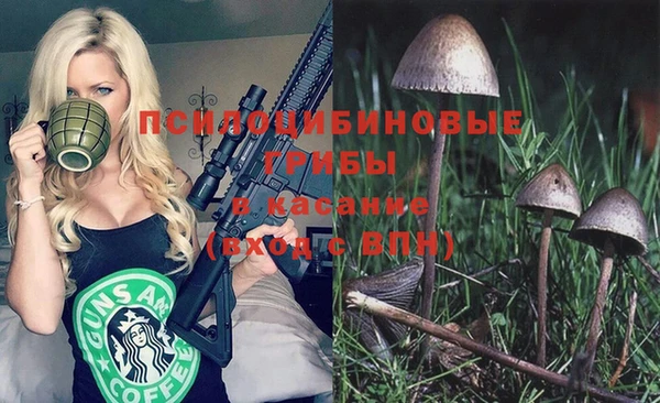круглые Алексин